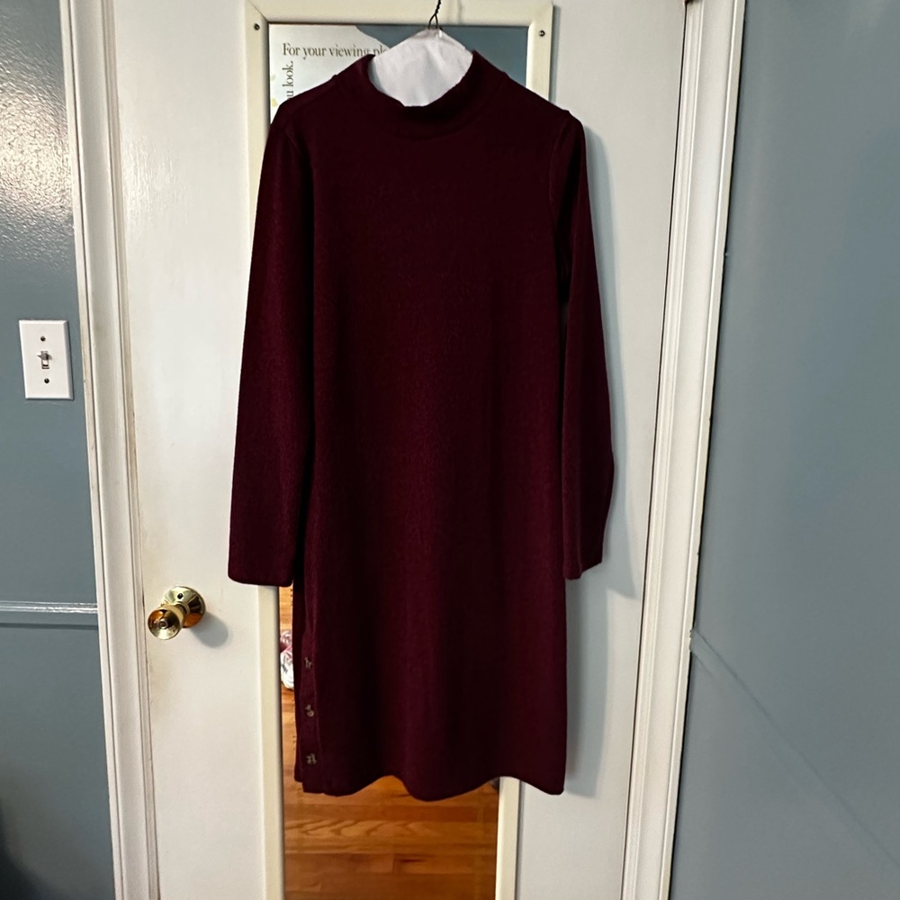 Banana Republic Deep Burgundy Long Sleeve Dress
